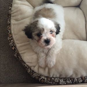 Meet your Posher, Estefania